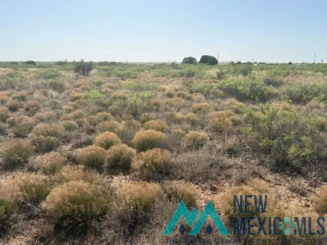 Lot 48 State Road 203, Lake Sumner, NM 88119 - #1