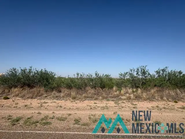 Lot 48 State Road 203, Lake Sumner, NM 88119 - #2