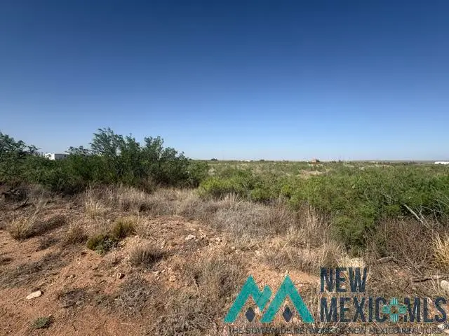 Lot 48 State Road 203, Lake Sumner, NM 88119 - #3
