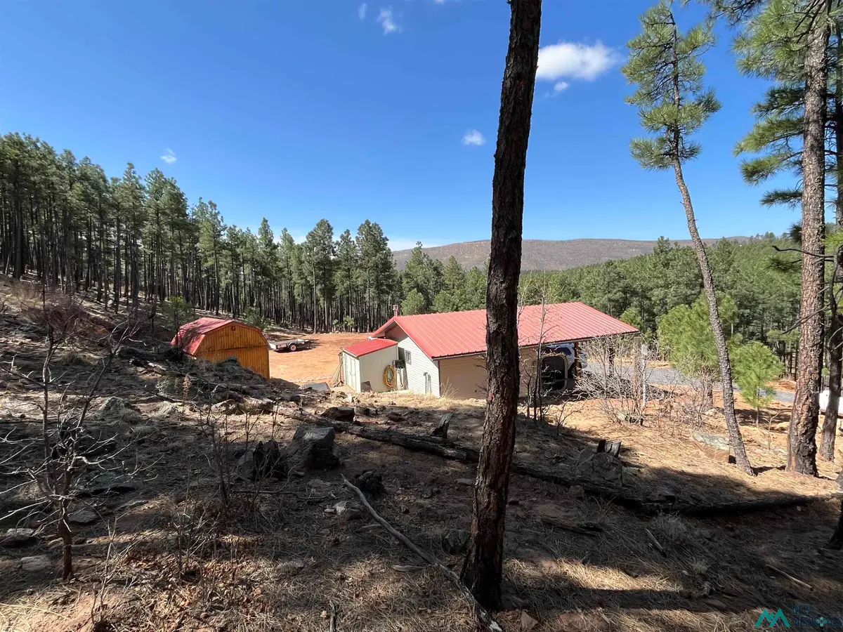 17 Pine Tree Road, Buena Vista, NM 87712 - #1