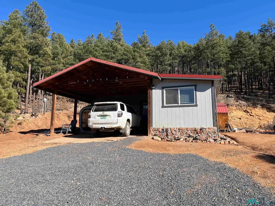 17 Pine Tree Road, Buena Vista, NM 87712 - #2