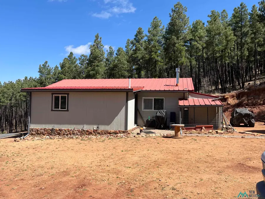 17 Pine Tree Road, Buena Vista, NM 87712 - #3