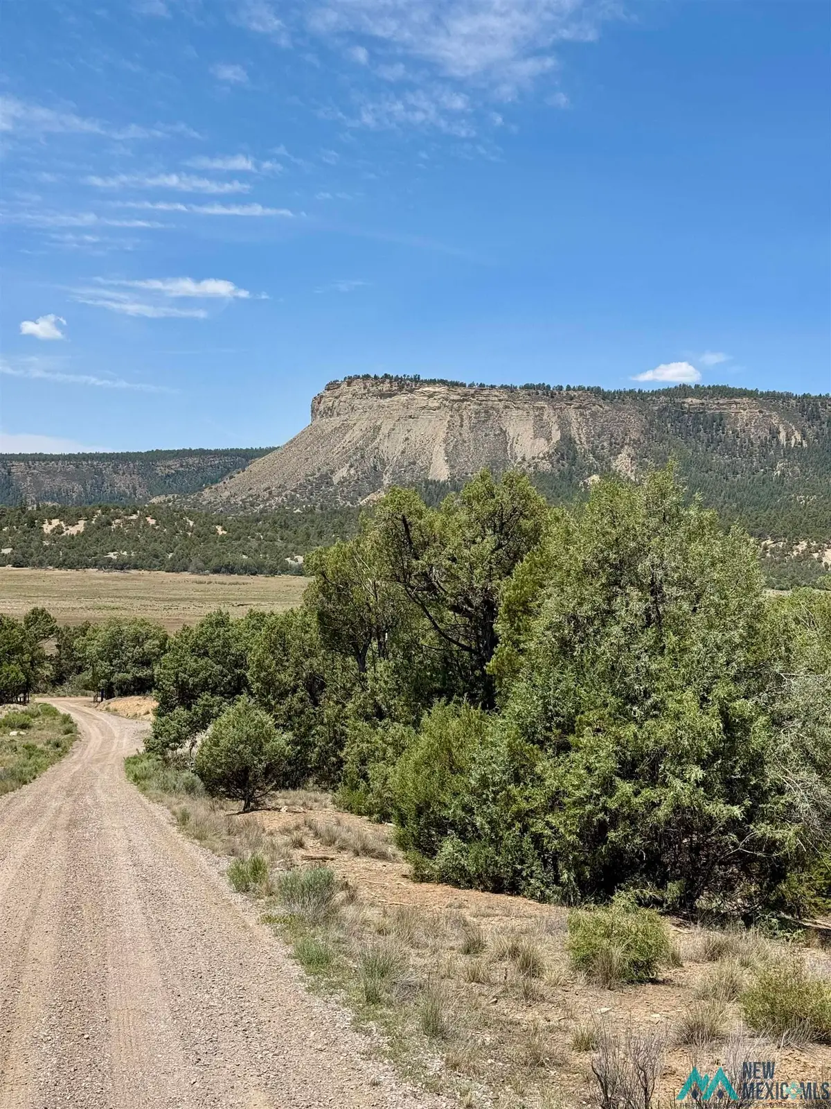 TBD Cedar Circle, Los Ojos, NM 87575 - #1