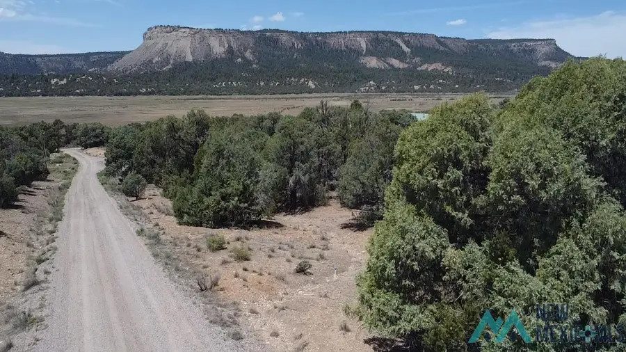 TBD Cedar Circle, Los Ojos, NM 87575 - #3
