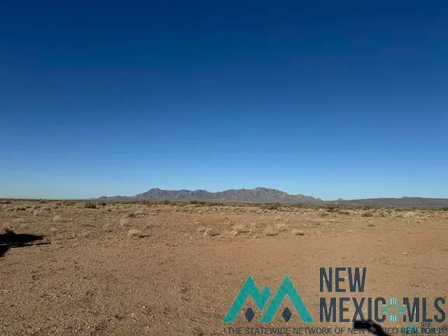 XXX SE Vibora Road, Deming, NM 88030 - #1