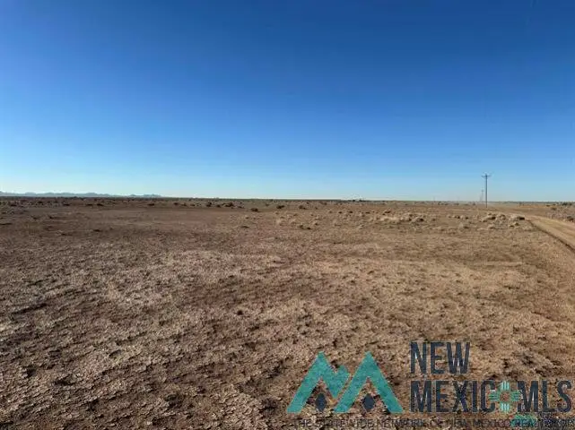 XXX SE Vibora Road, Deming, NM 88030 - #2