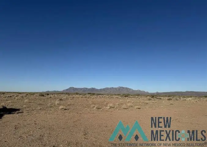 XXX SE Vibora Road, Deming, NM 88030 - #3