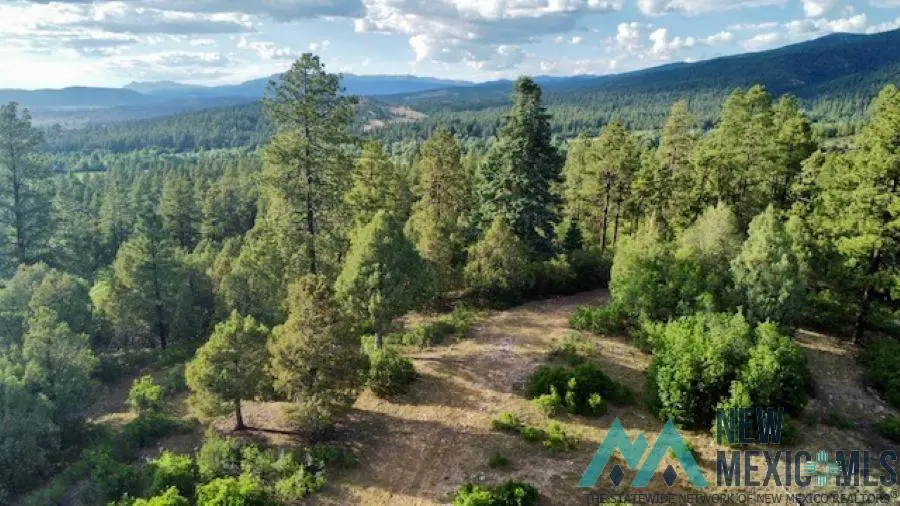 TBD Log Ridge Trail Trail, Chama, NM 87520 - #1