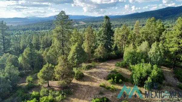 TBD Log Ridge Trail Trail, Chama, NM 87520