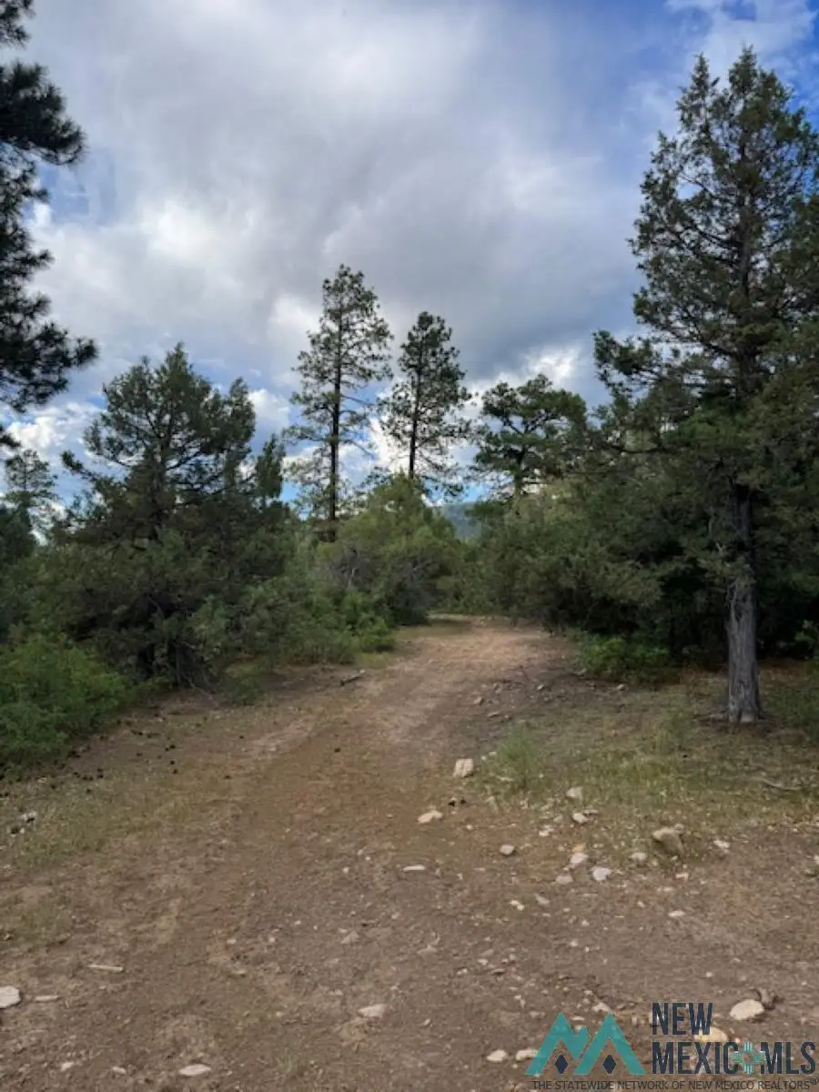 TBD Log Ridge Trail Trail, Chama, NM 87520 - #3