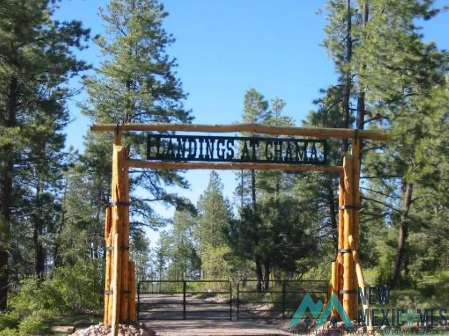 Eagles 2a, Chama, NM 87520 - #2