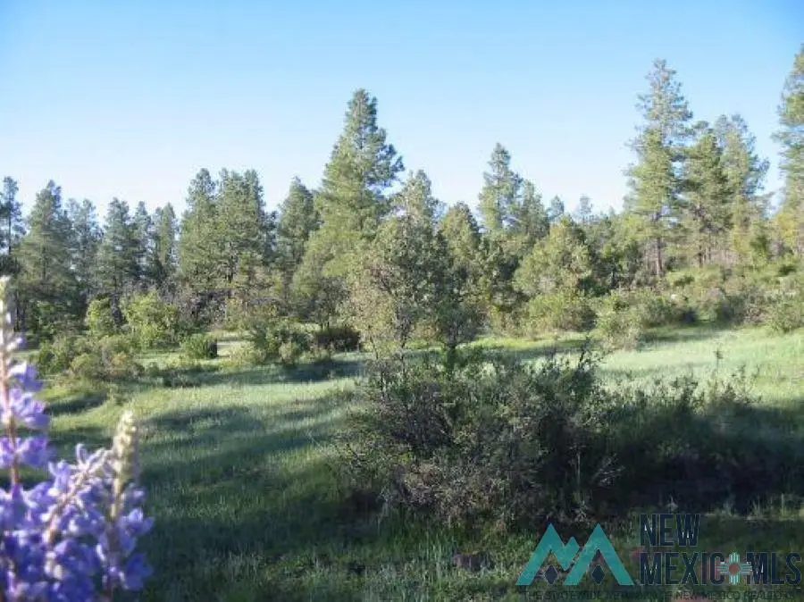 Eagles 2a, Chama, NM 87520 - #3