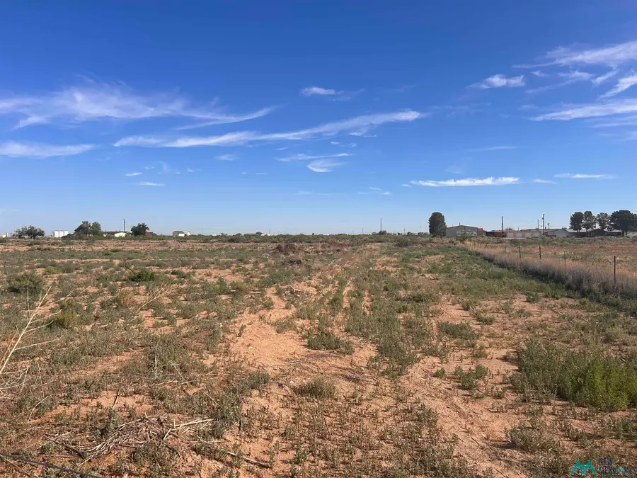 356 Brantley, Carlsbad, NM 88220 - #3