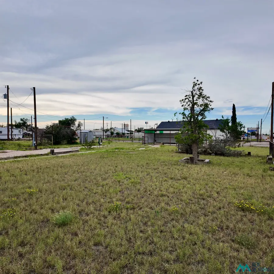 321 N 3rd Street, Jal, NM 88252 - #2