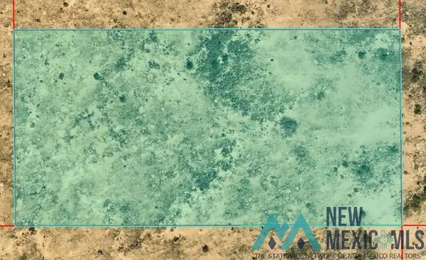 0000 S: 31 T: 14s R: 26e S2ne4sw4ne4, Hagerman, NM 88232