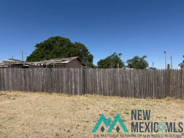 216 S Broadway Avenue, Grady, NM 88120 - #3
