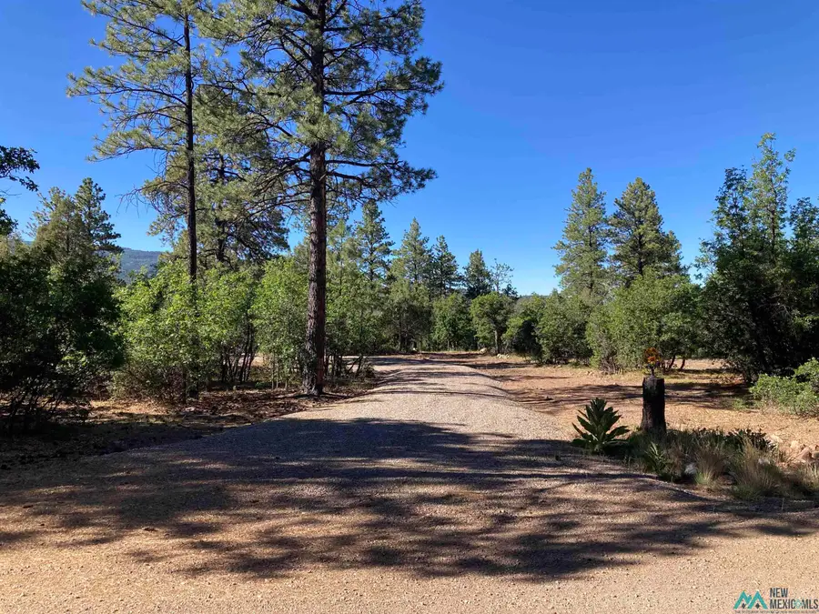 69 The Forks Road, Chama, NM 87520 - #2