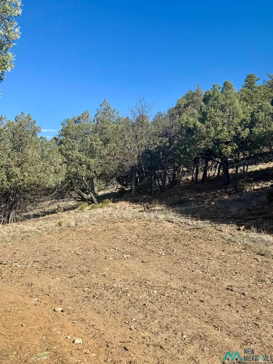 TBD Buena Road Road, Rutheron, NM 87551 - #2