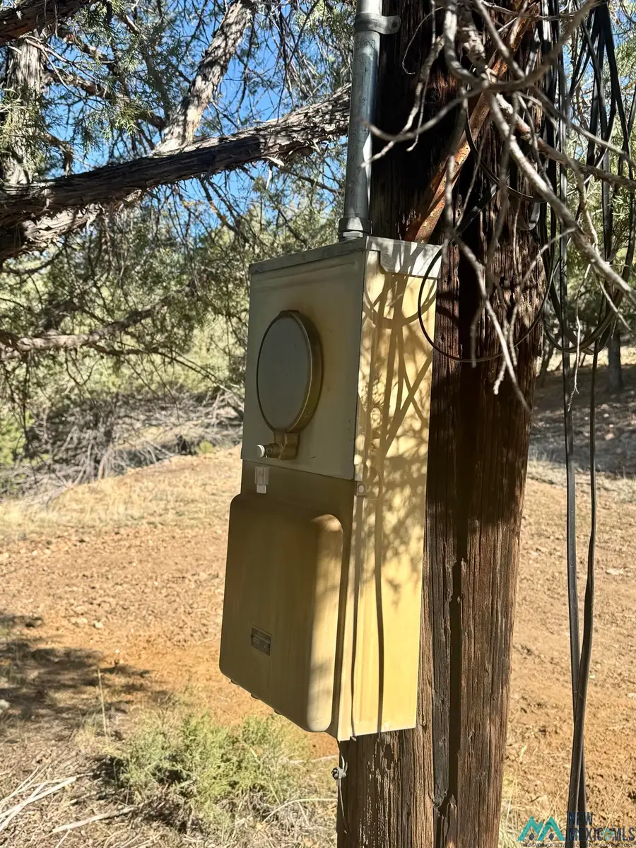 TBD Buena Road Road, Rutheron, NM 87551 - #3