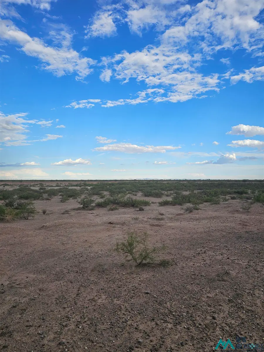 XXXX Amapola Rd Se, Deming, NM 88030 - #3