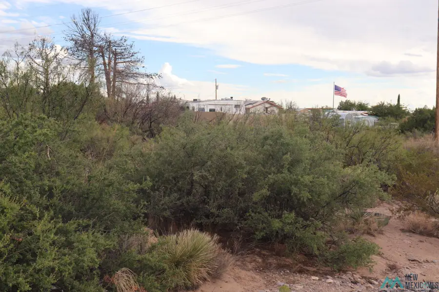 206 San Mateo Street, Elephant Butte, NM 87935 - #3