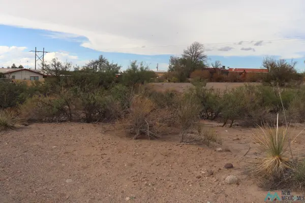 207 Black Range Street, Elephant Butte, NM 87935