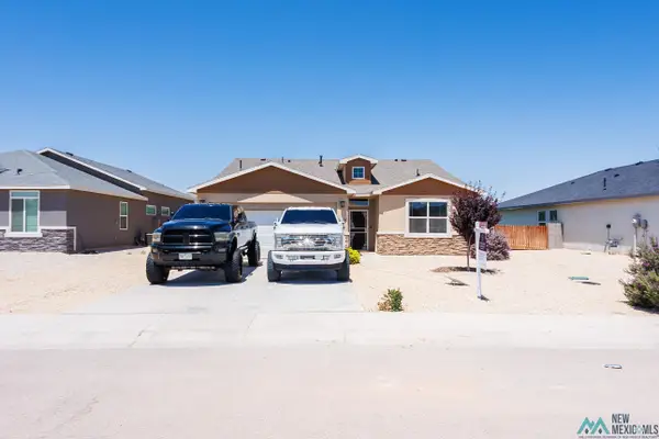 3605 Saguaro Road, Carlsbad, NM 88220