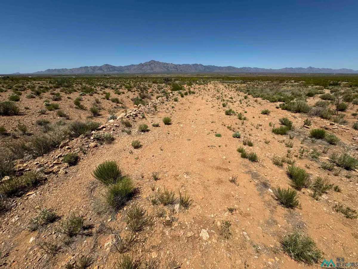 TBD Yucca Lane Road, Rodeo, NM 88056 - #1