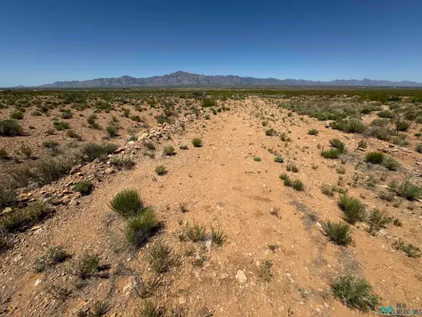 TBD Yucca Lane Road, Rodeo, NM 88056