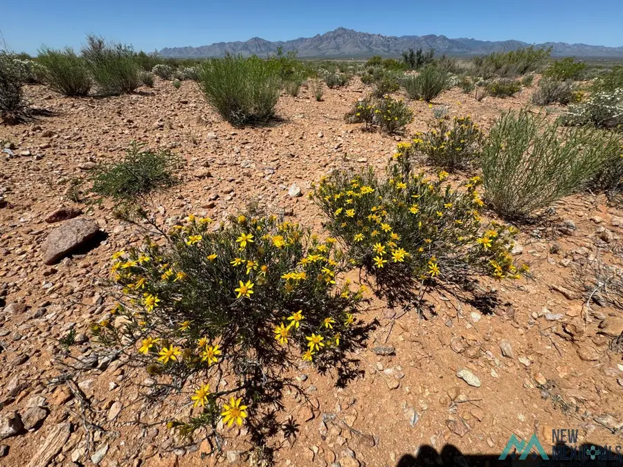 TBD Yucca Lane Road, Rodeo, NM 88056 - #3