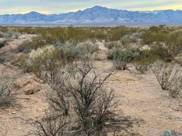 TBD Silver Springs Road Road, Rodeo, NM 88056