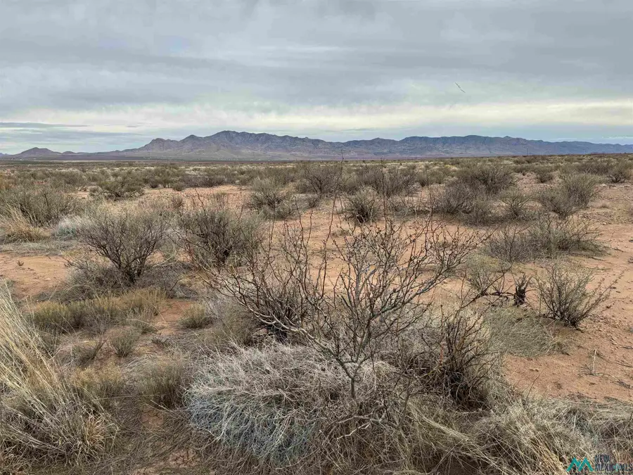TBD Silver Springs Road Road, Rodeo, NM 88056 - #2