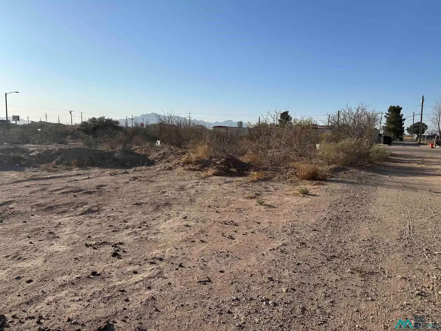 XXXX E Diamond Street / Apple Street, Deming, NM 88030 - #3