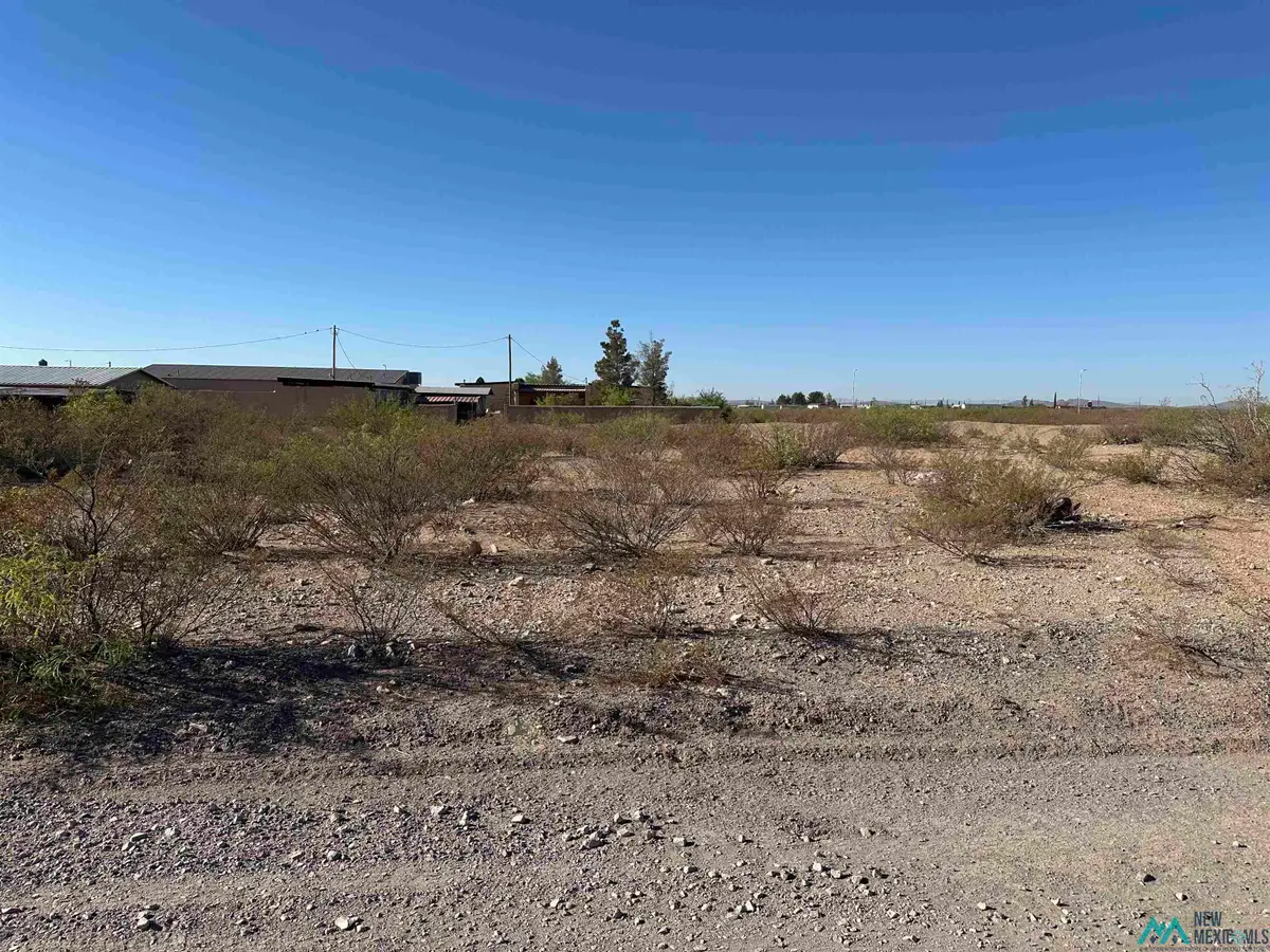 XXXX W Houston Avenue, Columbus, NM 88029 - #1