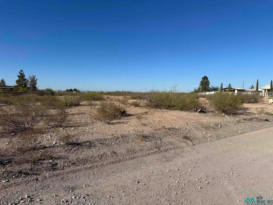 XXXX W Houston Avenue, Columbus, NM 88029 - #3