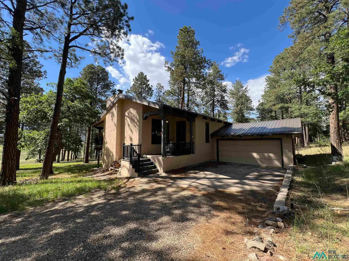30 Forest Drive, Rociada, NM 87742 - #1