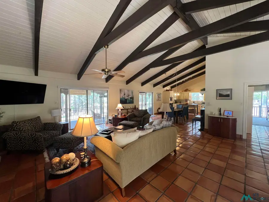 30 Forest Drive, Rociada, NM 87742 - #3