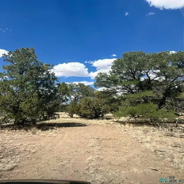 83 Hough, Pie Town, NM 87827-0000