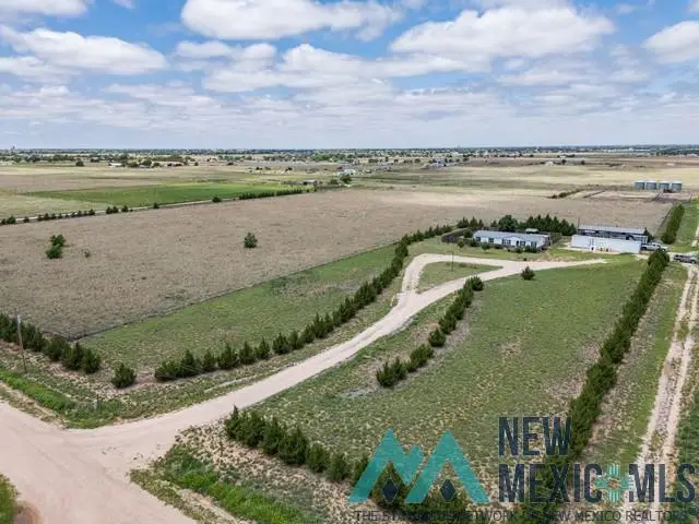 1742 S Roosevelt Road 8 1/2, Portales, NM 88130 - #1