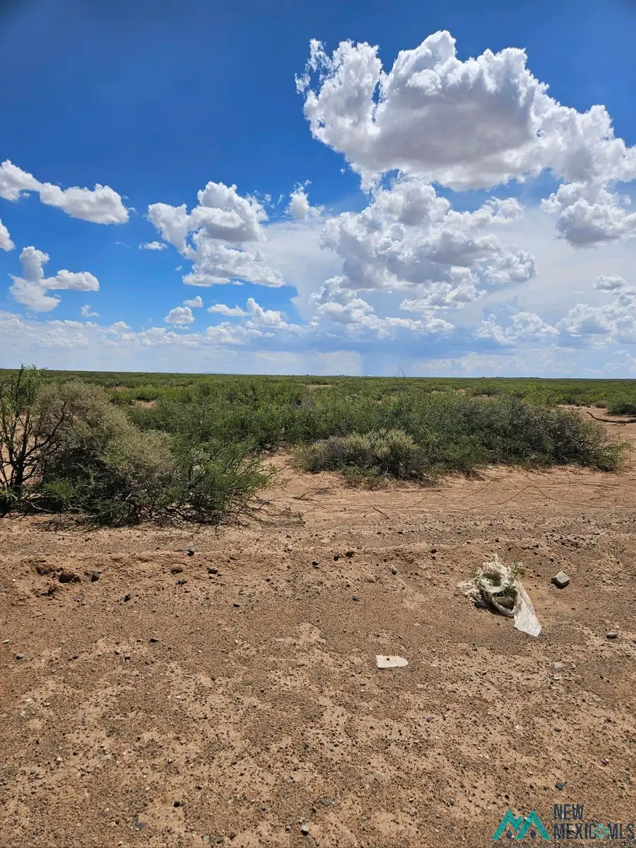 Whirlwind Rd, Deming, NM 88030 - #3
