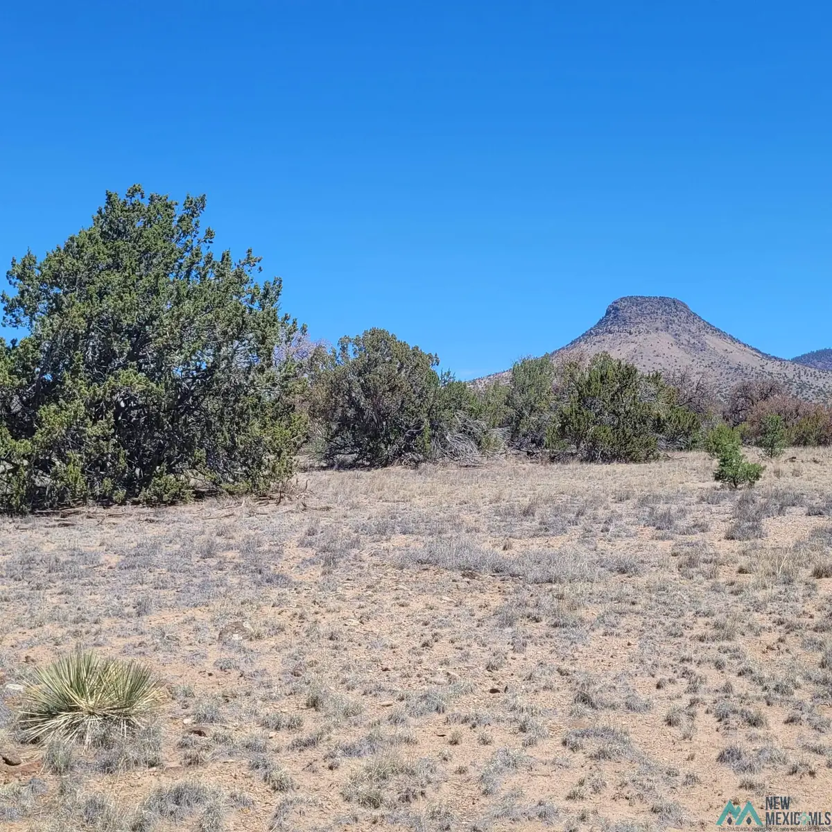 47 Southern, Datil, NM 87821-0000 - #1