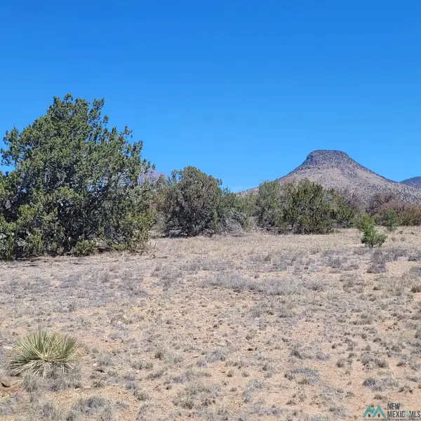 47 Southern, Datil, NM 87821-0000