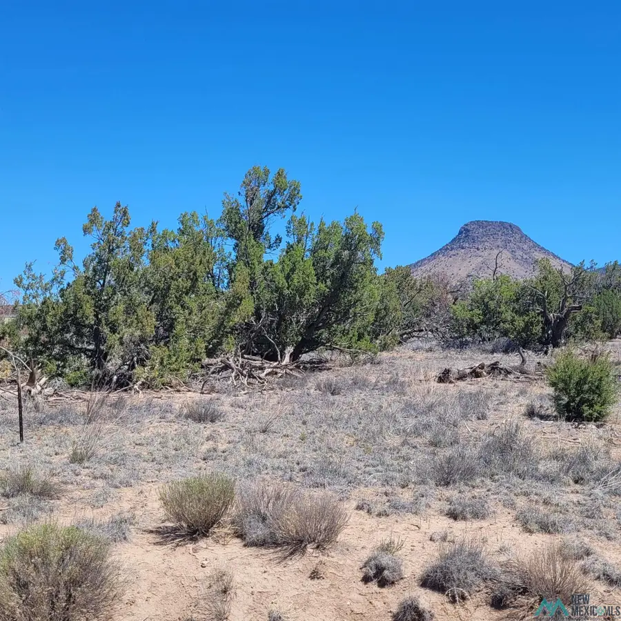 47 Southern, Datil, NM 87821-0000 - #2