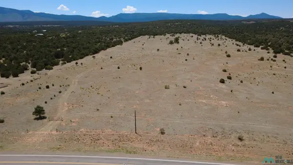Highway 55, Torreon, NM 87061