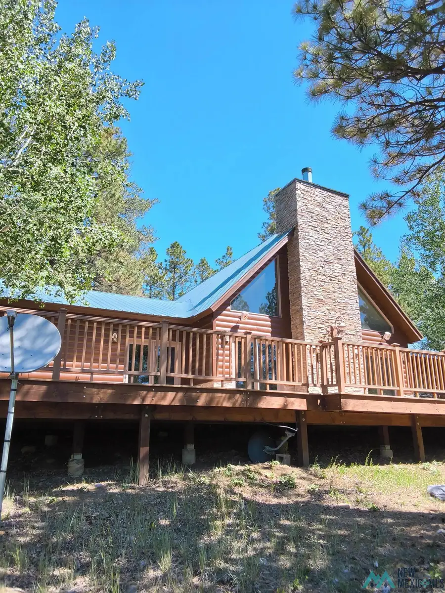 217 County Road 342, Chama, NM 87520 - #2