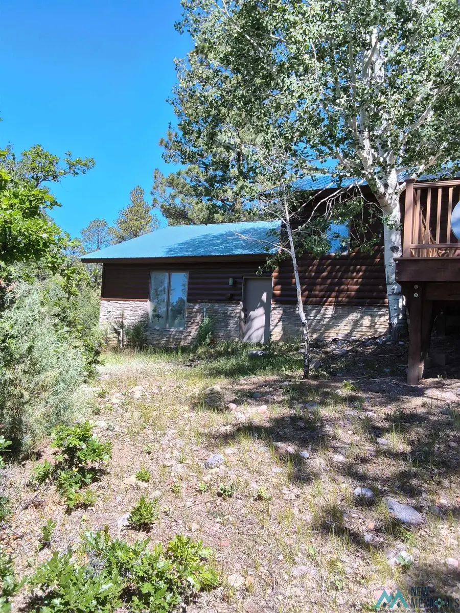 217 County Road 342, Chama, NM 87520 - #3