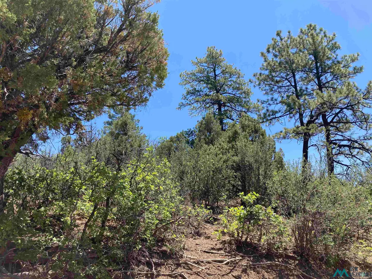 TBD Pd 1781 U6 Tr72, Chama, NM 87520 - #1