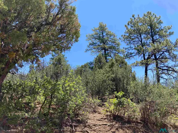 TBD Pd 1781 U6 Tr72, Chama, NM 87520