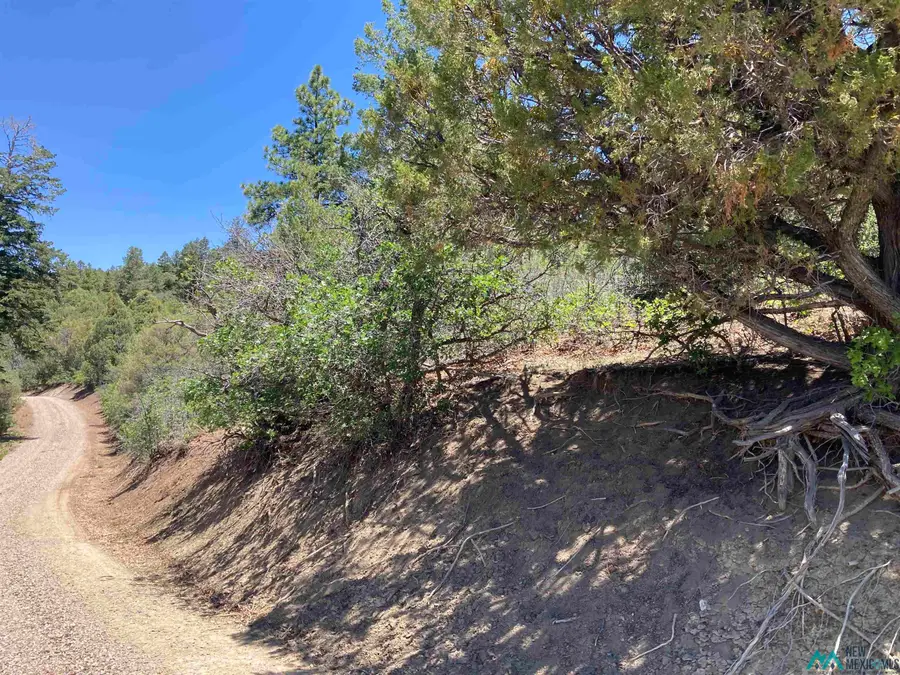 TBD Pd 1781 U6 Tr72, Chama, NM 87520 - #2