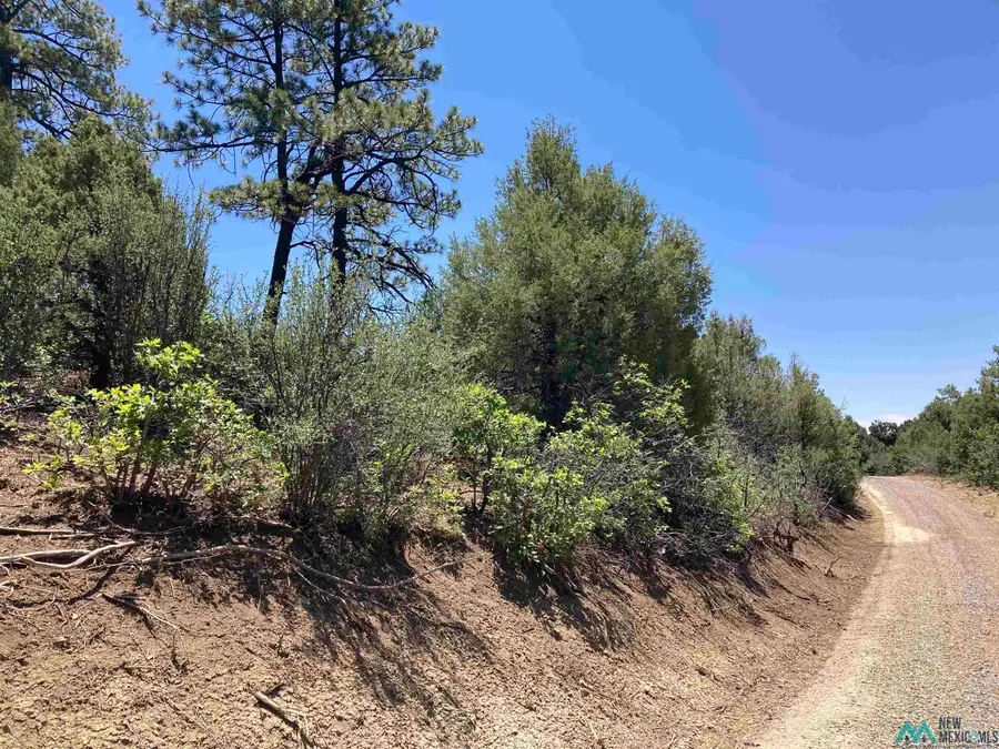 TBD Pd 1781 U6 Tr72, Chama, NM 87520 - #3